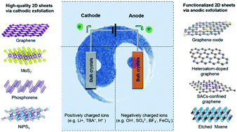 Graphical abstract: Janus electrochemical exfoliation of two-dimensional materials