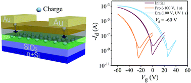 Graphical abstract: Light-assisted charge injection and depletion of insulator electrets for organic field-effect transistors