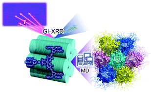 Graphical abstract: Visualizing the helical stacking of octahedral metallomesogens with a chiral core