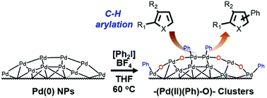 Graphical abstract: Characterization of heterogeneous aryl–Pd(ii)–oxo clusters as active species for C–H arylation