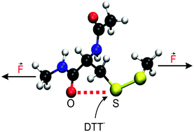 Graphical abstract: Mechanochemical disulfide reduction reveals imprints of noncovalent sulfur⋯oxygen chalcogen bonds in protein-inspired mimics in aqueous solution
