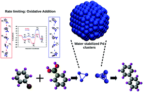 Graphical abstract: On the ligand-free palladium cluster catalysed Suzuki–Miyaura reaction