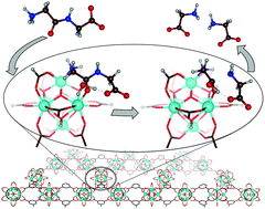 Graphical abstract: Mechanism of the highly effective peptide bond hydrolysis by MOF-808 catalyst under biologically relevant conditions