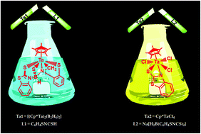 Graphical abstract: Chemistry of group 5 metallaboranes with heterocyclic thiol ligands: a combined experimental and theoretical study