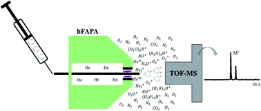 Graphical abstract: Evaluation of a modified halo flowing atmospheric pressure afterglow ion source for the analysis of directly injected volatile organic compounds