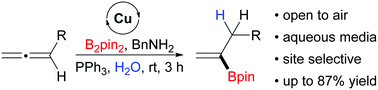 Graphical abstract: Copper(ii)-catalyzed protoboration of allenes in aqueous media and open air