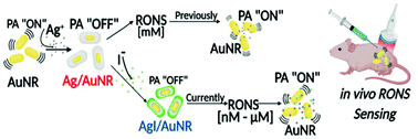 Graphical abstract: Iodide-doped precious metal nanoparticles: measuring oxidative stress in vivo via photoacoustic imaging