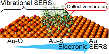 Graphical abstract: In situ surface-enhanced electronic and vibrational Raman scattering spectroscopy at metal/molecule interfaces