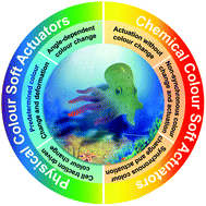 Graphical abstract: Recent advances in colour-tunable soft actuators