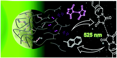 Graphical abstract: The bright and the dark side of the sphere: light-stabilized microparticles