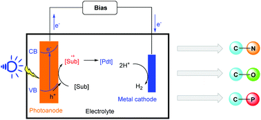 Graphical abstract: Recent advances in photoelectrochemical cells (PECs) for organic synthesis