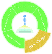 Graphical abstract: Organ-on-a-chip: the next generation platform for risk assessment of radiobiology