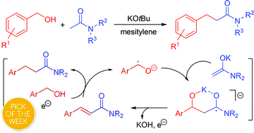 Graphical abstract: Radical condensation between benzylic alcohols and acetamides to form 3-arylpropanamides