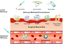 Graphical abstract: Advances in local and systemic drug delivery systems for post-surgical cancer treatment