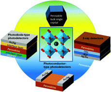 Graphical abstract: Single-crystal perovskite detectors: development and perspectives