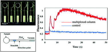 Graphical abstract: Immunoaffinity monoliths for multiplexed extraction of preterm birth biomarkers from human blood serum in 3D printed microfluidic devices