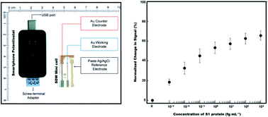 Graphical abstract: Detection of the SARS-CoV-2 spike protein in saliva with Shrinky-Dink© electrodes