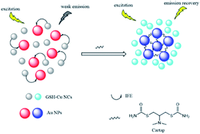 Graphical abstract: A new method for cartap detection with high sensitivity and selectivity based on the inner filter effect between GSH-Cu NCs and Au NPs