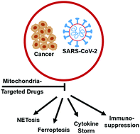 Graphical abstract: Reactive oxygen species, proinflammatory and immunosuppressive mediators induced in COVID-19: overlapping biology with cancer