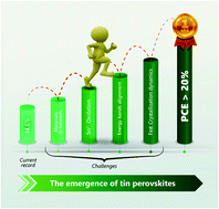 Graphical abstract: Challenges in tin perovskite solar cells