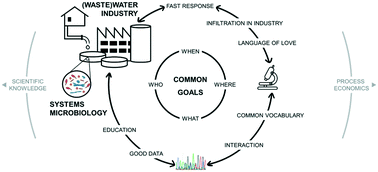 Graphical abstract: Plant-wide systems microbiology for the wastewater industry