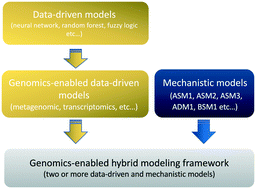 Graphical abstract: Emerging investigator series: modeling of wastewater treatment bioprocesses: current development and future opportunities