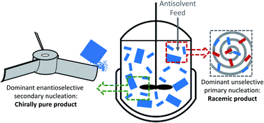 Graphical abstract: The unexpected dominance of secondary over primary nucleation