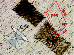 Graphical abstract: Mechanism of ice nucleation in liquid water on alkali feldspars