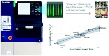 Graphical abstract: High-throughput optofluidic screening for improved microbial cell factories via real-time micron-scale productivity monitoring