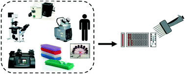 Graphical abstract: Point of care whole blood microfluidics for detecting and managing thrombotic and bleeding risks