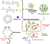 Graphical abstract: A co-delivery nanoplatform for a lignan-derived compound and perfluorocarbon tuning IL-25 secretion and the oxygen level in tumor microenvironments for meliorative tumor radiotherapy