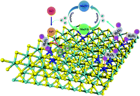 Graphical abstract: Defect-boosted molybdenite-based co-catalytic Fenton reaction