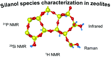 Graphical abstract: The challenge of silanol species characterization in zeolites