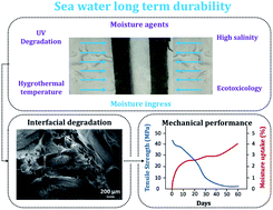 Graphical abstract: Long-term durability and ecotoxicity of biocomposites in marine environments: a review