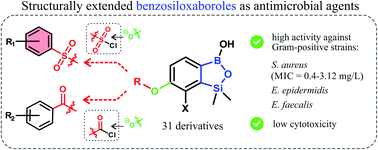Graphical abstract: Development of structurally extended benzosiloxaboroles – synthesis and in vitro biological evaluation