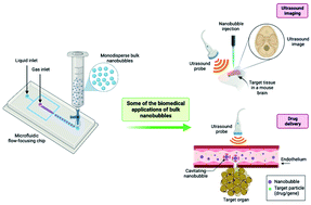 Graphical abstract: Biomedical nanobubbles and opportunities for microfluidics