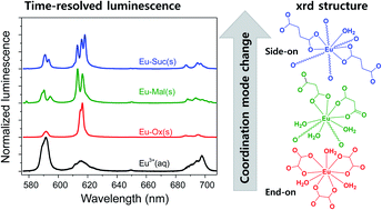 Graphical abstract: Structural and spectroscopic studies of spontaneously formed crystalline Eu(iii)–aliphatic dicarboxylates at room temperature