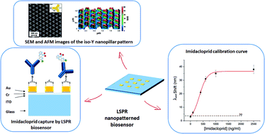 Graphical abstract: LSPR immuno-sensing based on iso-Y nanopillars for highly sensitive and specific imidacloprid detection