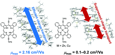 Graphical abstract: Single crystal field-effect transistor of tetrabenzoporphyrin with a one-dimensionally extended columnar packing motif exhibiting efficient charge transport properties