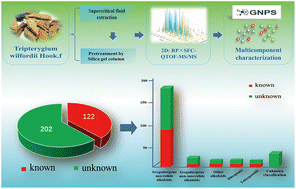 Graphical abstract: Combining multidimensional chromatography-mass spectrometry and feature-based molecular networking methods for the systematic characterization of compounds in the supercritical fluid extract of Tripterygium wilfordii Hook F