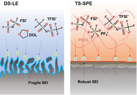 Graphical abstract: Ternary-salt solid polymer electrolyte for high-rate and long-life lithium metal batteries