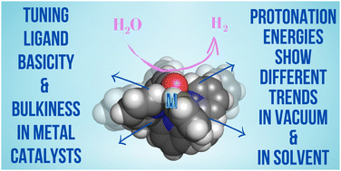 Graphical abstract: How general is the effect of the bulkiness of organic ligands on the basicity of metal–organic catalysts? H2-evolving Mo oxides/sulphides as case studies