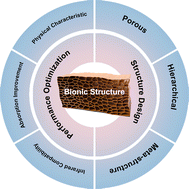 Graphical abstract: Bionic structures for optimizing the design of stealth materials