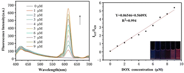 Graphical abstract: A reusable ratiometric fluorescent probe for the detection and removal of doxycycline antibiotic demonstrated by environmental sample investigations