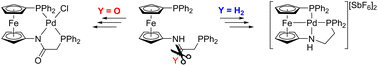 Graphical abstract: Synthesis and coordination of hybrid phosphinoferrocenes with extended donor pendants