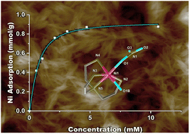 Graphical abstract: Tailoring a bio-based adsorbent for sequestration of late transition and rare earth elements