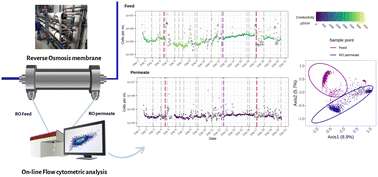 Graphical abstract: Flow cytometry for on-line microbial regrowth monitoring in a membrane filtration plant: pilot-scale case study for wastewater reuse