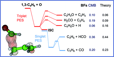 Graphical abstract: Crossed-beam and theoretical studies of multichannel nonadiabatic reactions: branching fractions and role of intersystem crossing for O(3P) + 1,3-butadiene