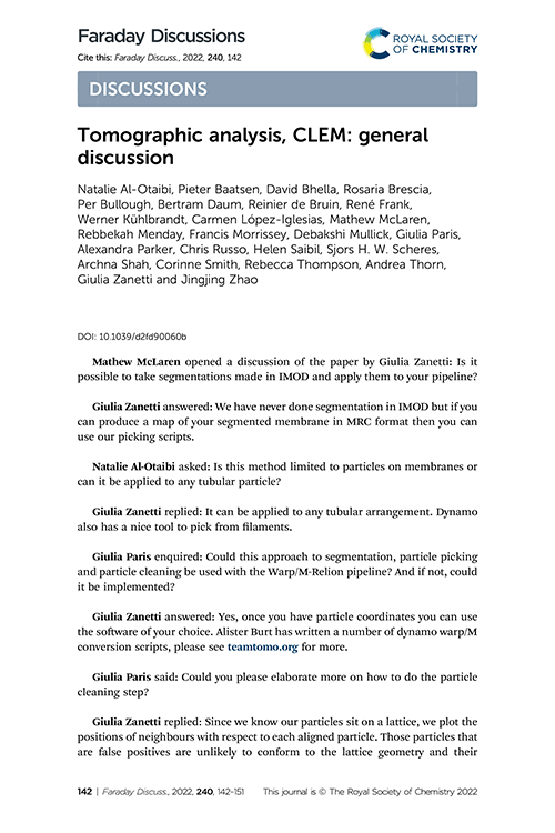 Tomographic analysis, CLEM: general discussion