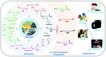 Graphical abstract: Recent advances in the sustainable production of α,ω-C6 bifunctional compounds enabled by chemo-/biocatalysts